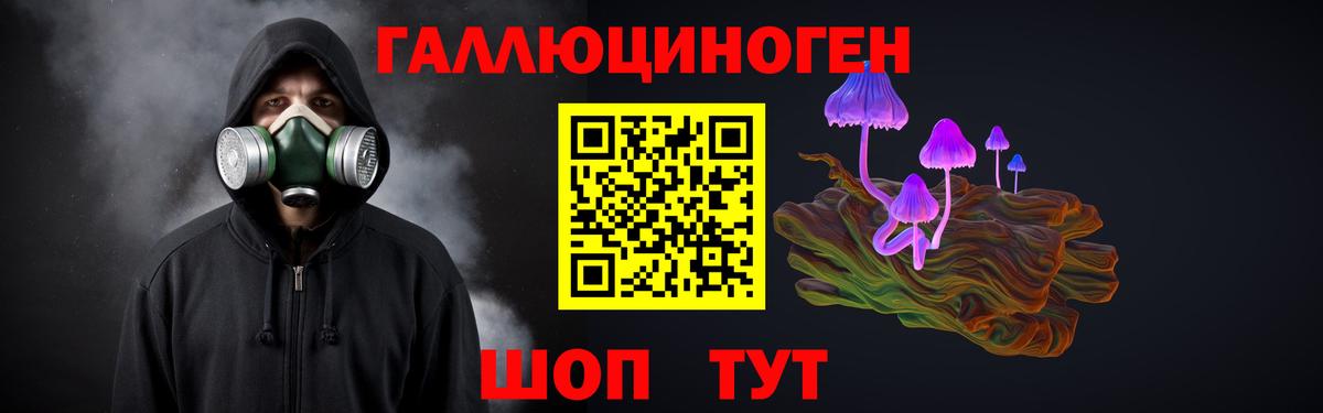 Усть-Кут  Псилоцибиновые грибы MAGIC MUSHROOMS  Вход с VPN 