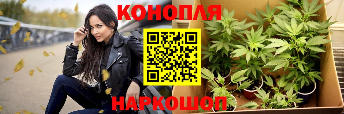 Каннабис Amnesia  Бошки марихуана Ganja  Вход с VPN  Усть-Кут  Бошки марихуана VHQ 